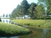 8月13日 星期三 晴 Britania park & Andrew park 152.jpg