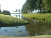 8月13日 星期三 晴 Britania park & Andrew park 154.jpg