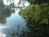 8月13日 星期三 晴 Britania park & Andrew park 164.jpg