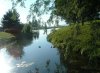 8月13日 星期三 晴 Britania park & Andrew park 165.jpg