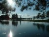 8月13日 星期三 晴 Britania park & Andrew park 171.jpg