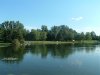 8月13日 星期三 晴 Britania park & Andrew park 177.jpg