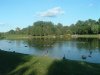 8月13日 星期三 晴 Britania park & Andrew park 207.jpg