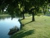 8月13日 星期三 晴 Britania park & Andrew park 212.jpg