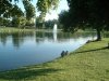 8月13日 星期三 晴 Britania park & Andrew park 214.jpg