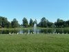 8月13日 星期三 晴 Britania park & Andrew park 221.jpg
