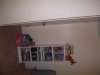 DSCF1673.JPG