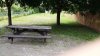 ImageUploadedByCFC Ottawa1440432523.627854.jpg