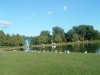 8月13日 星期三 晴 Britania park & Andrew park 224.jpg