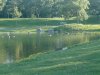 8月13日 星期三 晴 Britania park & Andrew park 225.jpg