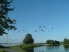 8月13日 星期三 晴 Britania park & Andrew park 256.jpg