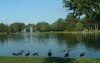 8月13日 星期三 晴 Britania park & Andrew park 261.jpg