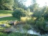 8月13日 星期三 晴 Britania park & Andrew park 266.jpg