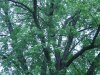 IMG_0396.JPG