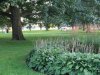 IMG_0521.JPG