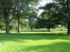 IMG_0544.JPG