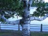 IMG_0464.jpg