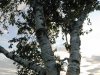 IMG_0606.JPG