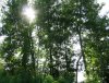 IMG_0626.JPG