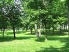 IMG_0658.JPG