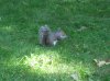 IMG_0689.JPG