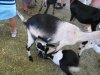 IMG_0859.JPG
