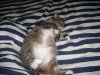DSC00143.JPG