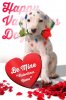 hue-valentines-card-sample.jpg