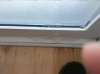 IMG_20160215_103734.jpg