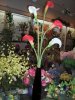 finesilkflowers2.jpg finesilkflowers2.jpg