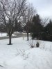 IMG_0715.JPG