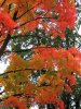 IMG_1049.JPG