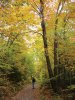 OttawaTourism_ott-fall-gatineaupark-hike_sm.jpg