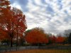 golden fall (2) 039.jpg