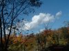 08年10月14日 117.jpg
