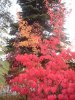 08年10月14日 354.jpg