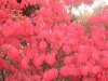 08年10月14日 355.jpg