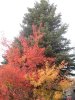 08年10月14日 358.jpg