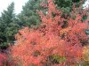 08年10月14日 359.jpg