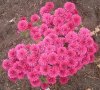 08年10月14日 363.jpg
