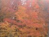 08年10月14日 374.jpg