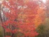 08年10月14日 380.jpg