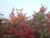 08年10月14日 403.jpg