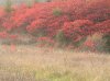 08年10月14日 423.jpg