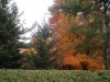 08年10月14日 462.jpg