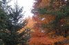 08年10月14日 463..jpg