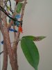 20170111_150052.jpg