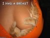 Kitty_Cup.jpg