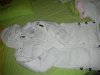 DSCN0380.jpg