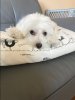 微信图片_20170814204659.jpg